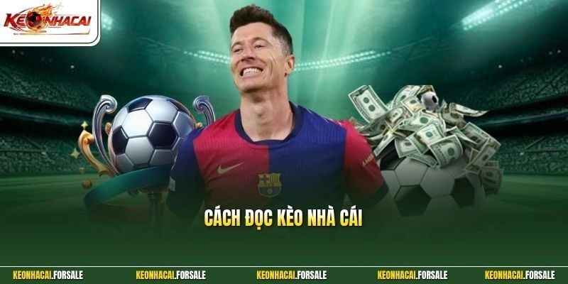 Cách Đọc Kèo Nhà Cái - Giải Mã Bảng Tỷ Lệ Thể Thao Chuẩn Xác
