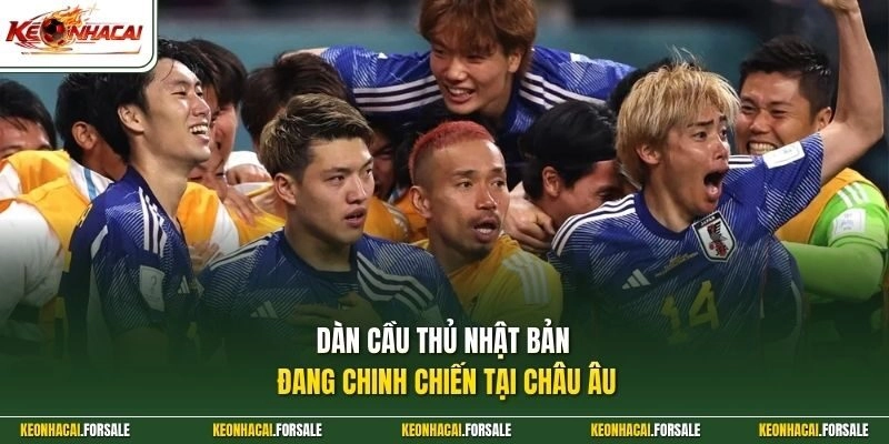 Dàn cầu thủ Nhật Bản đang chinh chiến tại châu Âu