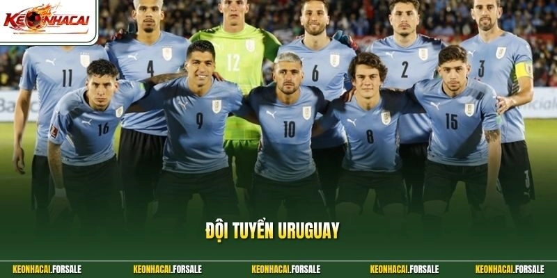 Đội Tuyển Uruguay Và Di Sản Của Nhà Vô Địch Lịch Sử