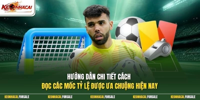 Hướng dẫn chi tiết cách đọc các mốc tỷ lệ được ưa chuộng hiện nay