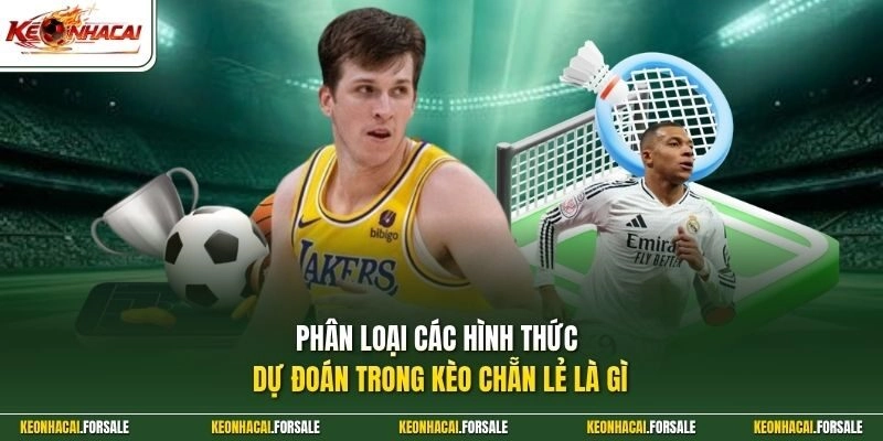 Phân loại các hình thức dự đoán trong kèo chẵn lẻ là gì