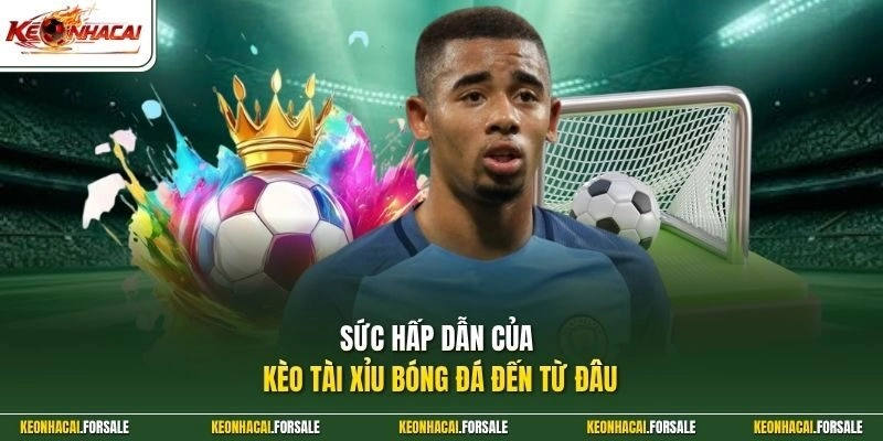 Sức hấp dẫn của kèo tài xỉu bóng đá đến từ đâu